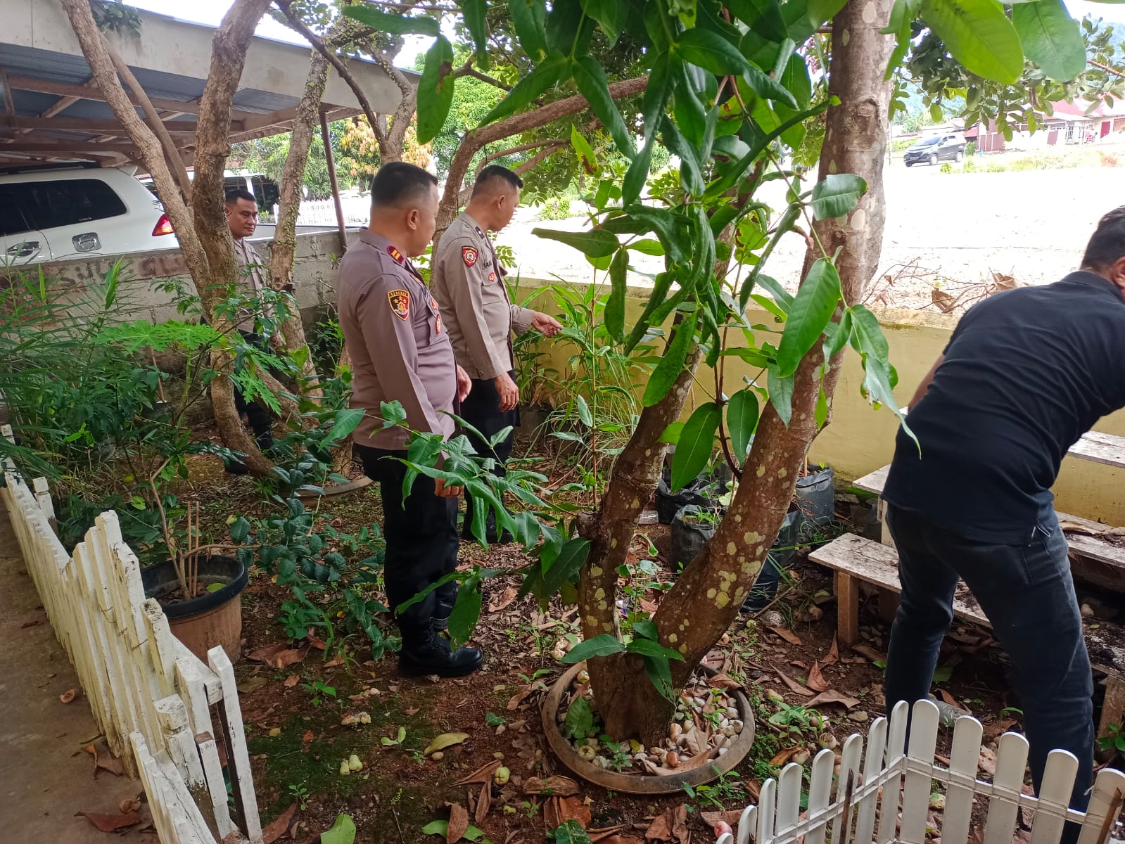 Pemanfaatan Lahan Kosong Untuk Ketahanan Pangan Oleh Polsek Batang Kapas.