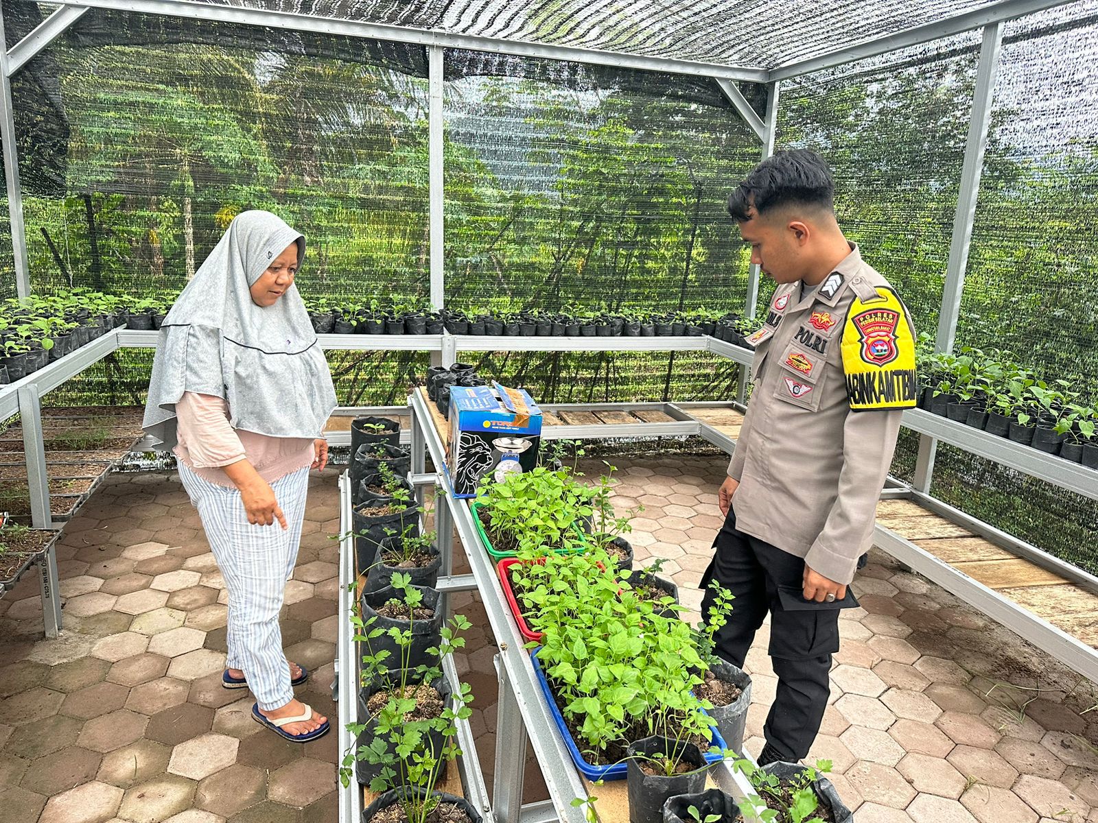 Upaya Ketahanan Pangan Dilaksanakan Oleh Bhabinkamtibmas Polsek Bayang Di Kecamatan Bayang.