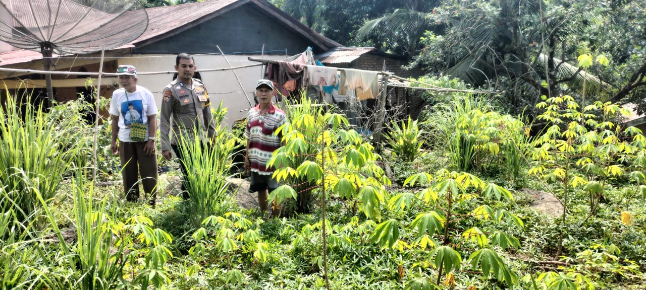 Bhabinkamtibmas Polsek Bayang Monitoring Pemanfaatan Pekarangan untuk Ketahanan Pangan di Nagari Puluik-Puluik Selatan.