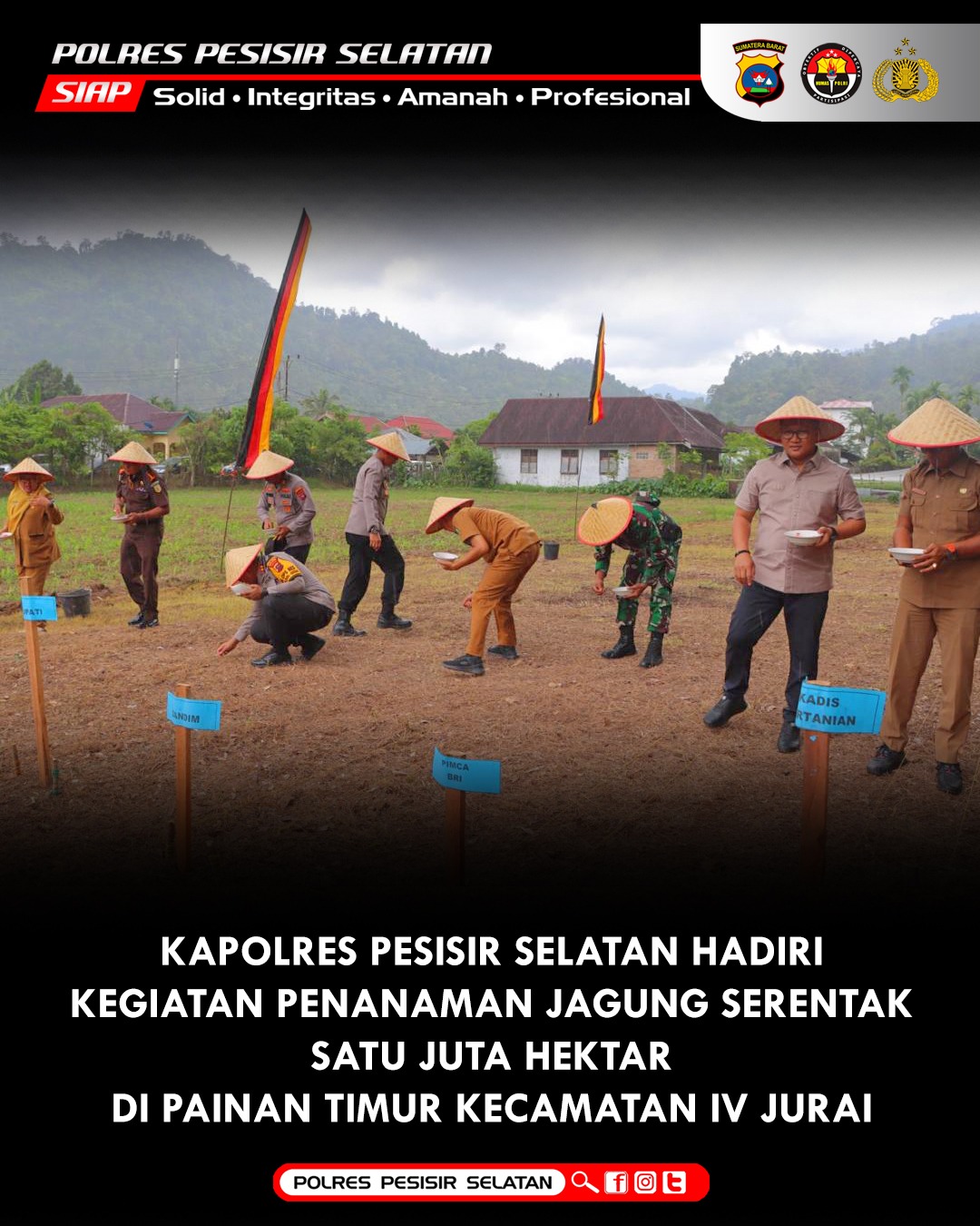 Dukung Swasembada Pangan 2025 Kapolres Pessel Bersama Forkopimda Launching Penanaman Jagung Serentak 1 Juta Hektar Lahan