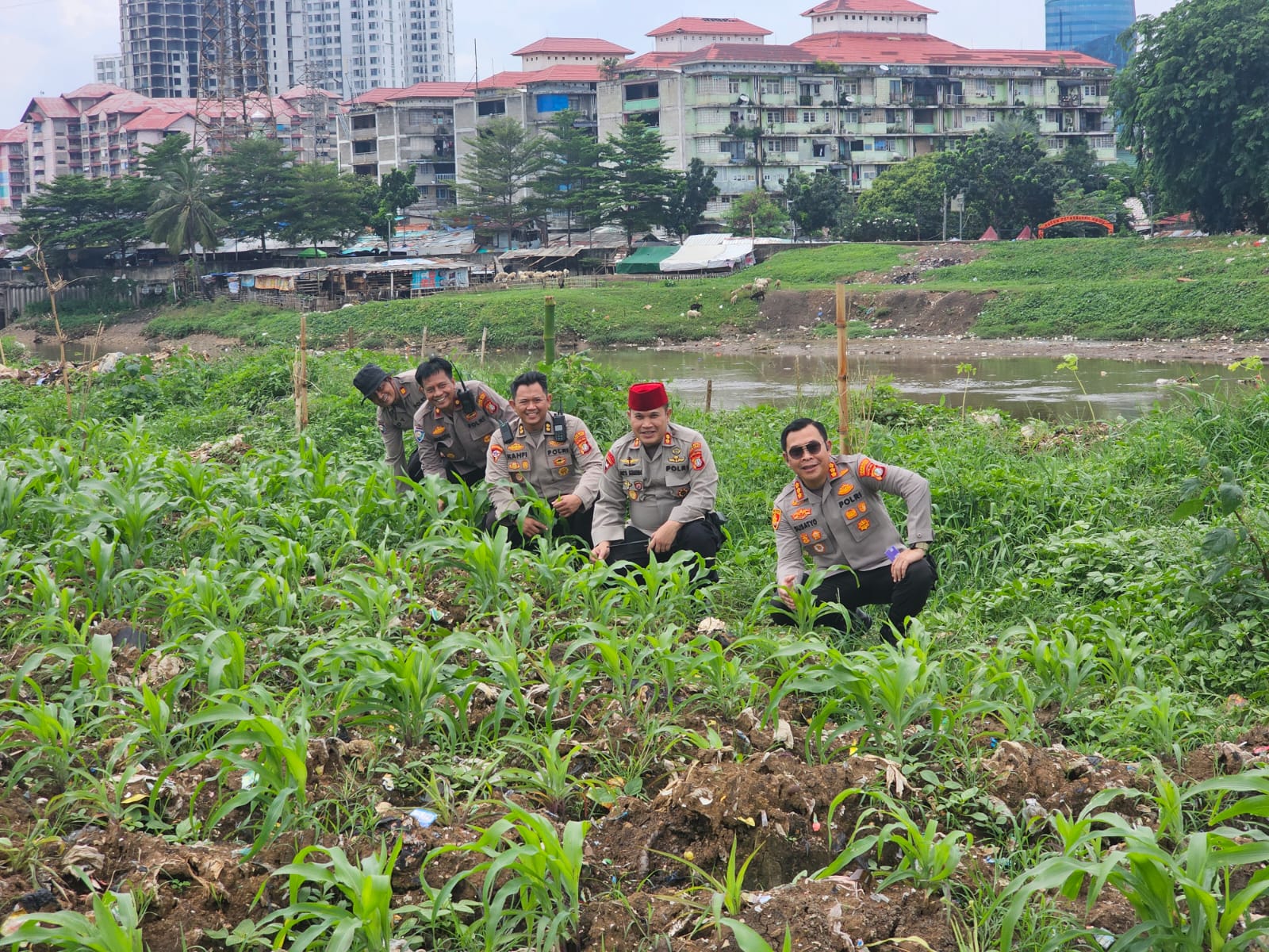 *Ada Kebun Jagung di Tengah Kota Jakarta, Polri: Upaya Polri Dukung Asta Cita Presiden*