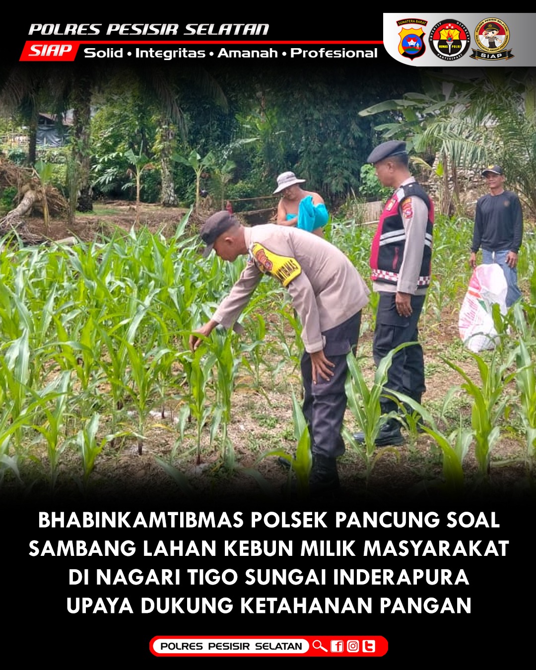 Upaya Dukung Ketahanan Pangan, Bhabinkamtibmas Polsek Pancung Soal Sambangi Kebun Lahan Milik Warga.