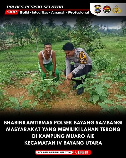 Bhabinkamtibmas Polsek Bayang Monitoring Pemanfaatan Pekarangan untuk Ketahanan Pangan di Nagari Nagari Muaro Aie.