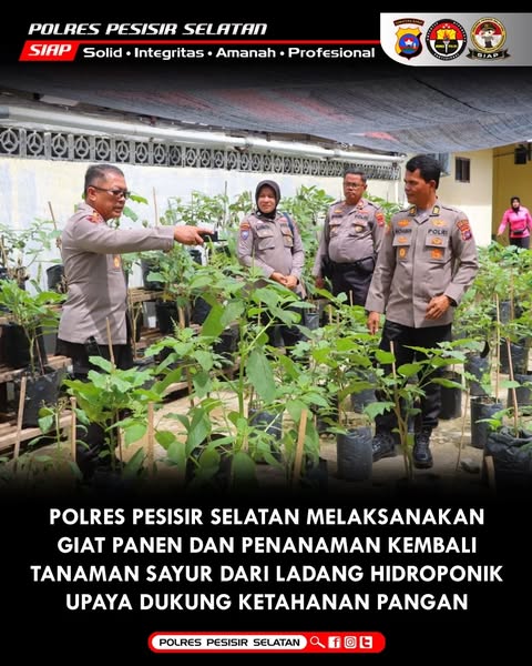 Panen dan Penanaman Kembali Sayuran Dengan Lahan Hidroponik oleh Polres Pesisir Selatan.