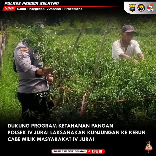 Kawal Ketahanan Pangan, Polsek IV Jurai Laksanakan Kunjungan Ke Kebun Cabe Masyarakat di Kampung Rimbo Laweh Ken. Ampuan Lumpo.