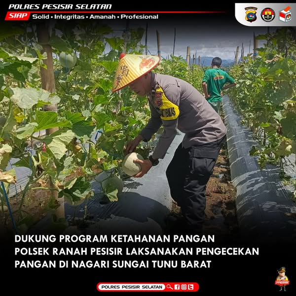 Dukung Program Asta Cita, Bhabinkamtibmas Polsek Ranah Pesisir Kawal Ketahanan Pangan Di Kampung Padang Sirih.