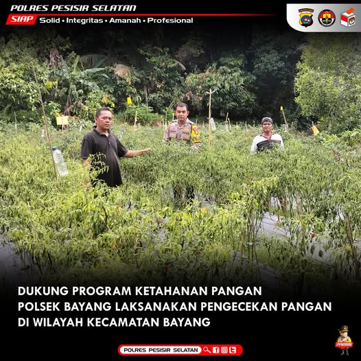 Bhabinkamtibmas Polsek Bayang Kawal Kegiatan Ketahanan Pangan di Kengararian Puluik-Puluik Selatan.