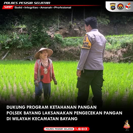 Polsek Bayang Laksanakan Pengecekan Program Ketahanan Pangan Berupa Tanaman Padi Milik Masyarakat Nagari Muaro Aie Bayang.