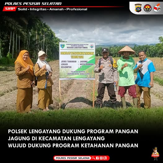 Polsek Lengayang Laksanakan Pengecekan Program Ketahanan Pangan Berupa Tanaman Jagung Milik Masyarakat Lengayang.