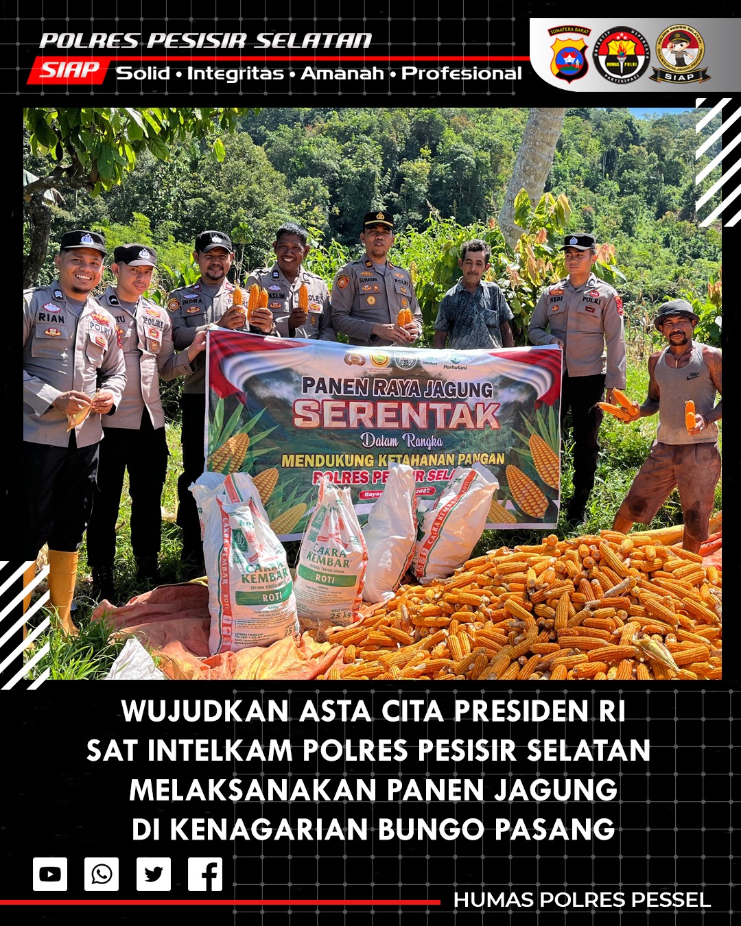 Sukses Panen Jagung, Kasat Intelkam Polres Pessel Tekankan Pentingnya Sinergi Polri-Petani Dalam Ketahanan Pangan