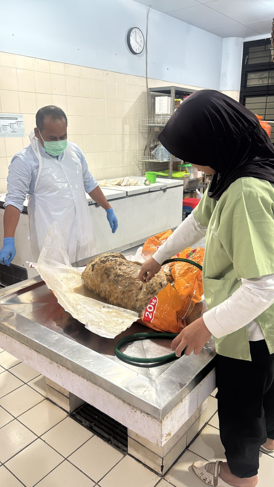 *K9 Polri Turun Tangan Selidiki 2 Anjing Shelter di Sentul Mati Diduga Diracun*